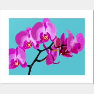 Orchid pink Posters and Art